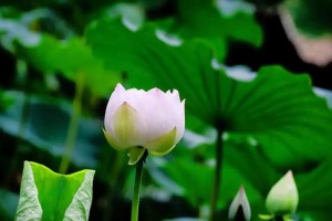 男女分手的魔鬼定律（揭秘为什么男女分手总是那么痛苦）