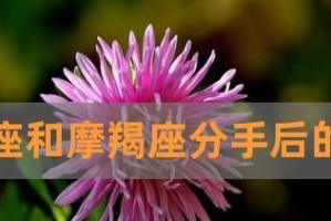 掌握关键，让爱恋永不消逝（掌握关键，让爱恋永不消逝）