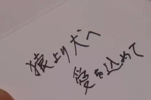 不想放弃，但又很不满（面对问题，找到解决之道）