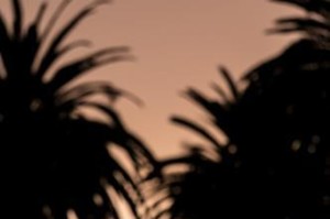 八条不能发的短信，你知道吗？（挽回前男友必看！八条短信，八种错误）
