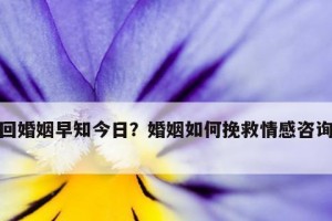 如何拯救婚姻（婚姻出现问题后的必备指南）