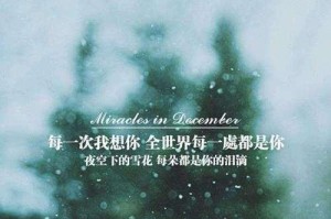挽回未来，重拾过去（以过去经验铸就未来成功）