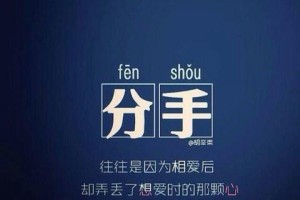 挽回爱情的绝招——以快分手了怎么挽回（战胜分手危机，重燃恋爱的火花）