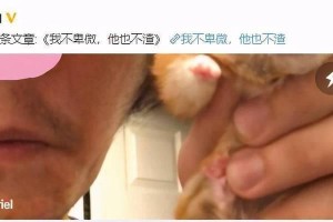 信任是爱情的基石，如何化解误解与误会（信任是爱情的基石，如何化解误解与误会）