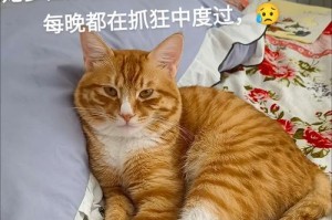 以婚外情被发现的痛苦教训（及时止损，切勿一错再错）