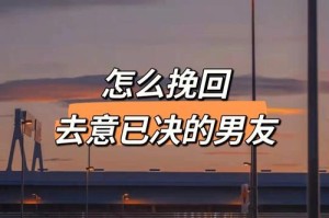 挽回男友攻略（从心态、行动、沟通角度出发，实现挽回男友的目标。）