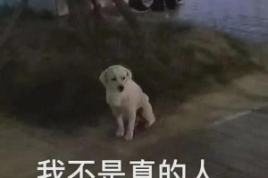 选猴子看爱情观（通过选择不同的猴子，看看你是什么样的爱情观？）