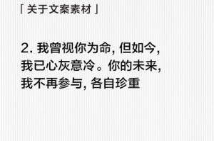 两个人的争吵如何挽回感情？（掌握这些技巧，让你的恋爱关系更加稳固）