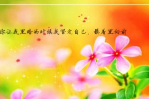 以心安理得——探寻内心的平静与自信（了解“以心安理得”的真正含义与实际应用）