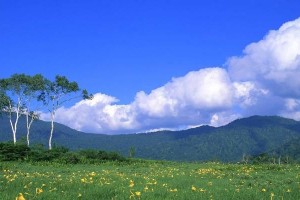 男人对你忽略的原因是他不够爱你（以女性角度来看待男人忽略女友的现象，带你了解男人心理中的细节）