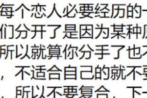 分手后的复合聊天技巧（如何在聊天中恢复感情并达成复合的目的）