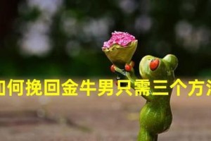 教你从多个角度出发，掌握金牛男心理，成功挽回（教你从多个角度出发，掌握金牛男心理，成功挽回）