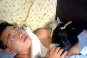 男生能否抱着女生纯睡觉？（揭秘男性心理和睡眠习惯，帮你拥有一夜安稳的好梦）