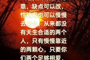 如何挽回不合适的恋爱关系（挽回爱情，从自身出发）