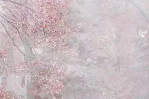 爱到骨子里，情自浓（深情相守，爱意绵长）
