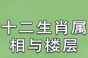 十二生肖配偶（探寻十二生肖配偶的最佳组合，让你的爱情更加美满幸福）