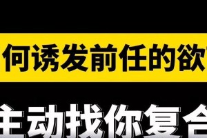 重获爱情（以心换心，化解矛盾，建立新的关系信任）