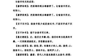四字词语的陷阱（迷失方向的比喻）