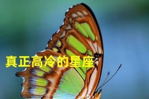 星座排名揭秘分手时最高冷的星座，这些人的心真的冰封了吗？