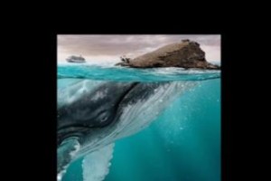 正确看待深海恐惧症