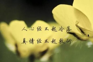 深情而心酸，写给前女友的话（怀念与祝福，重温过往的美好）
