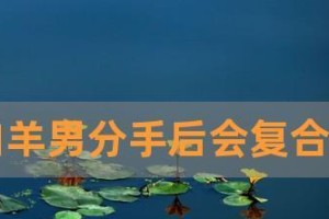 分手不是终结，挽回才是重点（15个步骤教你如何挽回前任）